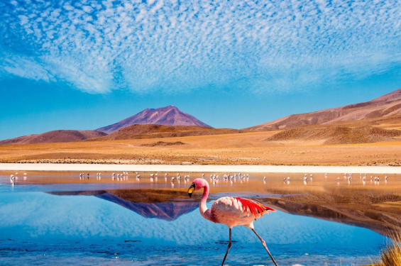 Dicas de viagem pro Atacama