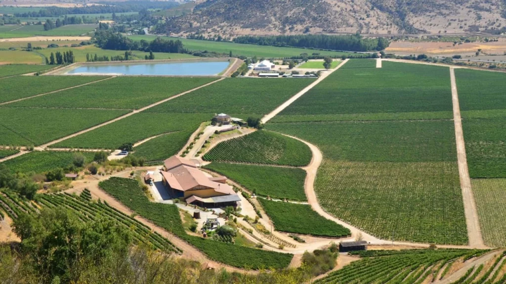 ista aérea de uma vinícola no Valle de Colchagua, cercada por vastos vinhedos e montanhas ao fundo.