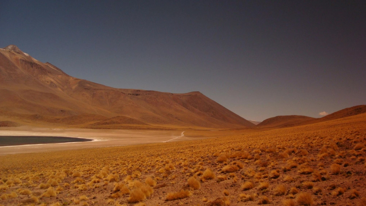 Paisagem árida do deserto do Atacama, Chile, com montanhas ao fundo e vegetação seca ao longo da planície.