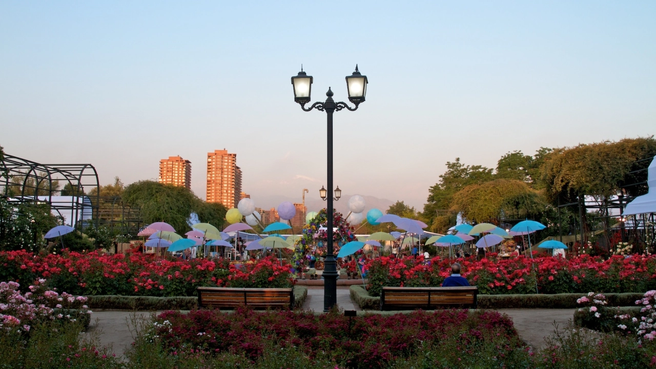 Cena romântica no Parque Bicentenario em Santiago, com um jardim florido, bancos de madeira e decoração colorida de guarda-sóis e balões.