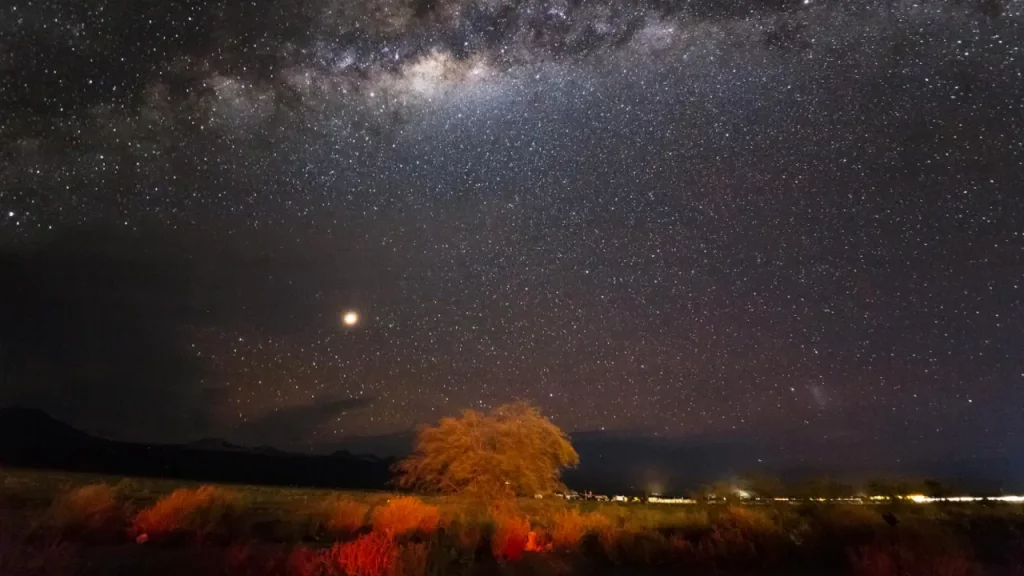 Céu estrelado no Deserto do Atacama durante um tour astronômico, com a Via Láctea visível e vegetação iluminada em primeiro plano.