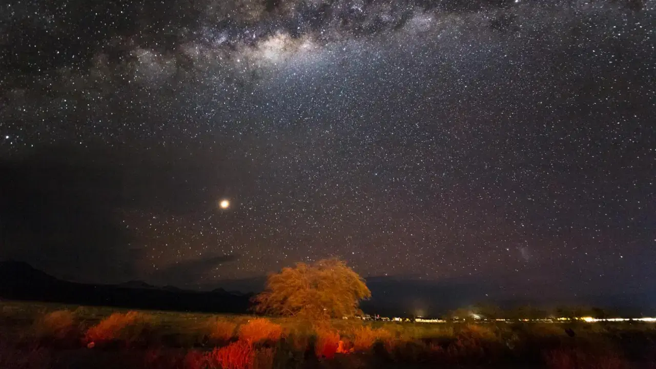 Céu estrelado no Deserto do Atacama durante um tour astronômico, com a Via Láctea visível e vegetação iluminada em primeiro plano.