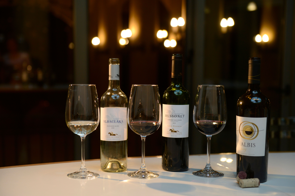 Vinhos Chilenos