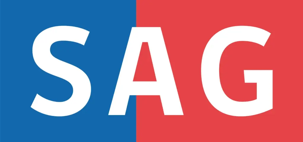 Como preencher a declaração SAG no aeroporto do Chile?