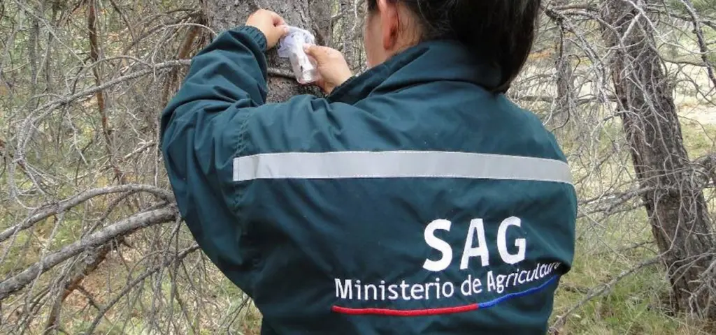 SAG